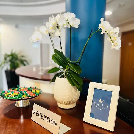 Hotel Gallia-3